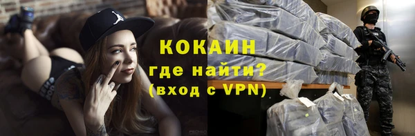 дживик Алексин