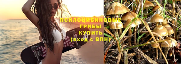 дживик Алексин