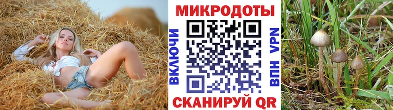 Галлюциногенные грибы GOLDEN TEACHER  kraken сайт  Палласовка 